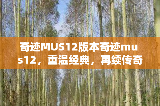 奇迹MUS12版本奇迹mu s12图片