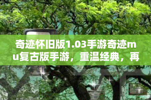 03手游奇迹mu复古版手游图片