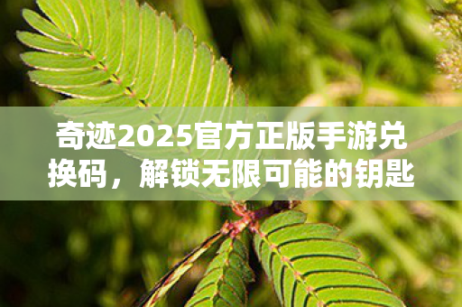 奇迹2025官方正版手游兑换码图片