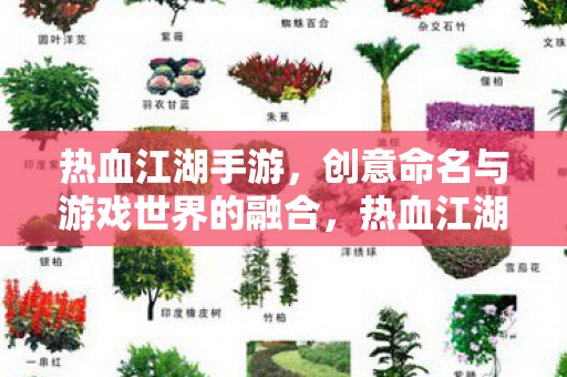 创意命名与游戏世界的完美融合图片