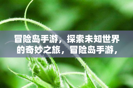 探索未知世界的奇妙之旅图片