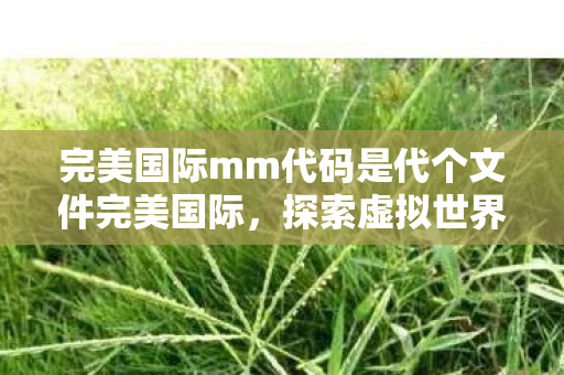 完美国际mm代码是代个文件完美国际图片