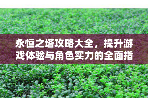 提升游戏体验与角色实力的全面指南图片