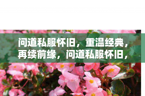 问道私服怀旧,重温经典,再续前缘,问道私服怀旧,重温经典,再续前缘 问道私服怀旧,重温经典,再续前缘,问道私服怀旧,重温经典,再续前缘