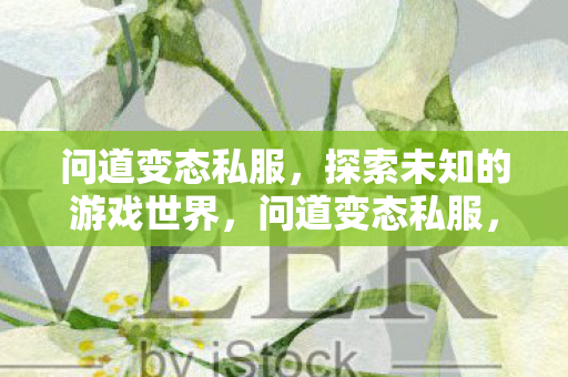 问道变态私服，探索未知的游戏世界，问道变态私服，探索未知的游戏世界之旅