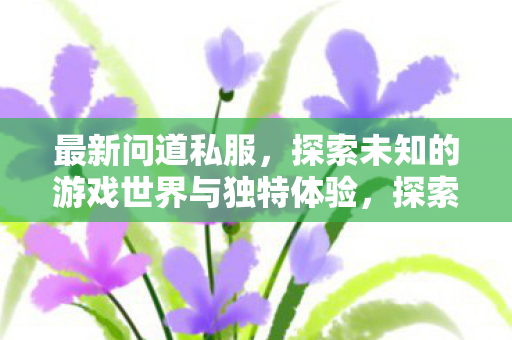 最新问道私服，探索未知的游戏世界与独特体验，探索最新问道私服，解锁未知游戏世界与独特体验