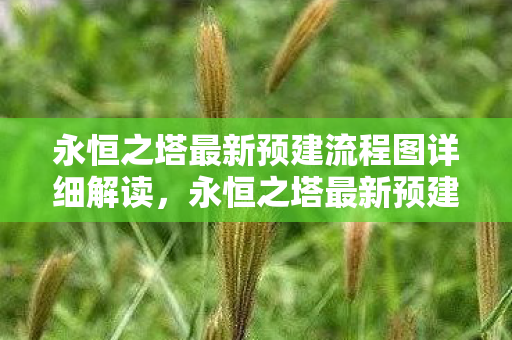 永恒之塔最新预建流程图详细解读图片