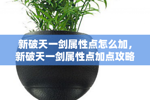 新破天一剑属性点怎么加，新破天一剑属性点加点攻略