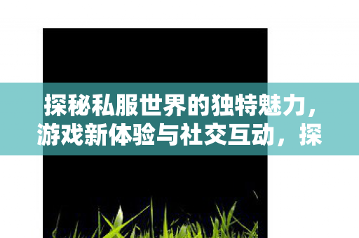 探秘私服世界的独特魅力，游戏新体验与社交互动，探秘私服世界，解锁游戏新体验与社交互动的独特魅力