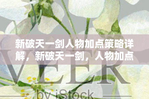 新破天一剑人物加点策略详解，新破天一剑，人物加点策略全解析