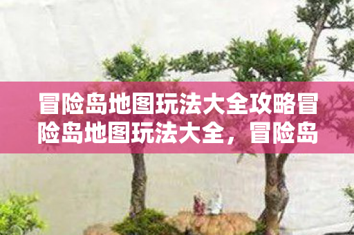 冒险岛地图玩法大全攻略冒险岛地图玩法大全图片