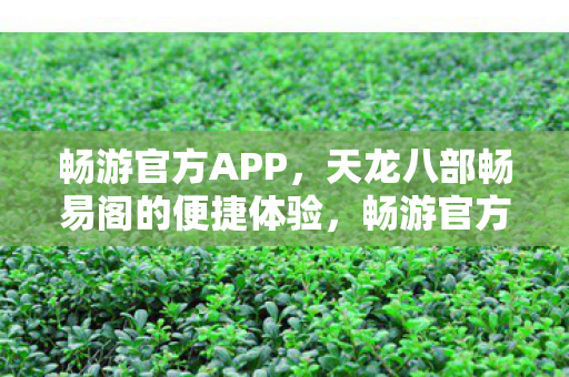 天龙八部畅易阁的便捷体验图片