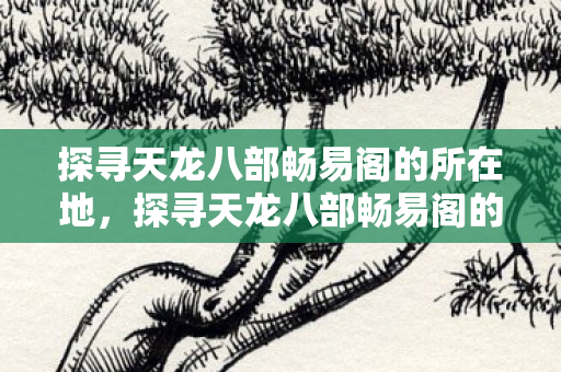 探寻天龙八部畅易阁的所在地图片