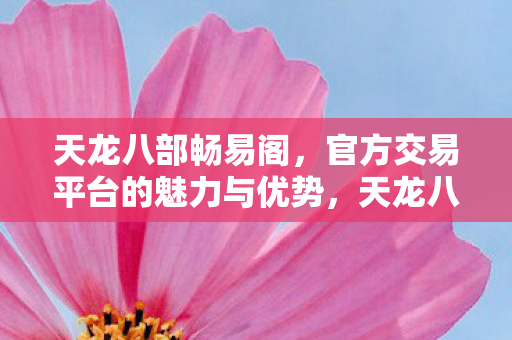 官方交易平台的独特魅力与优势图片