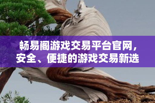 安全便捷的游戏交易新选择图片