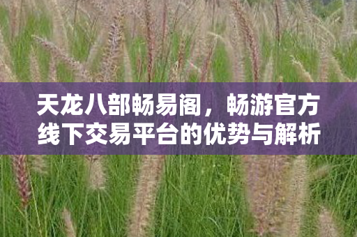 畅游官方线下交易平台的优势与解析图片