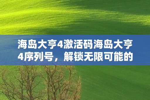 海岛大亨4激活码海岛大亨4序列号图片