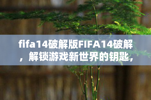 fifa14破解版FIFA14破解图片