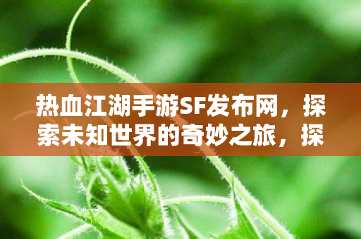 探索热血江湖手游SF的奇妙之旅图片
