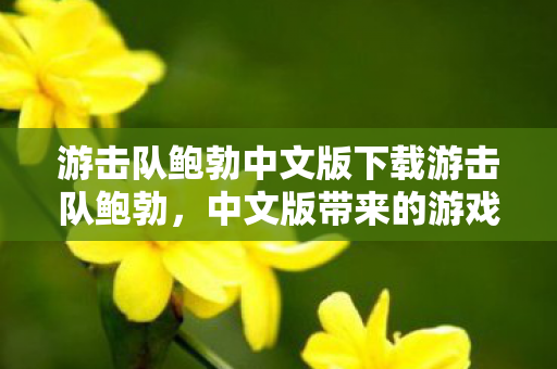 游击队鲍勃中文版下载游击队鲍勃图片