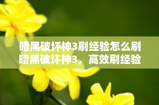 暗黑破坏神3刷经验怎么刷暗黑破坏神3图片
