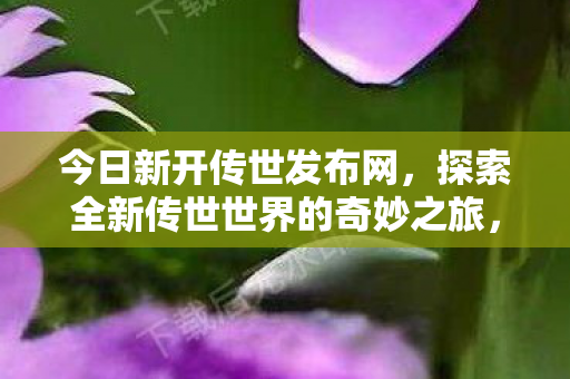 探索全新传世世界的奇妙之旅图片