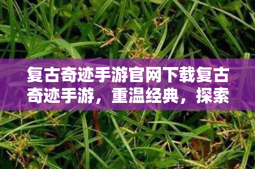 复古奇迹手游官网下载复古奇迹手游图片