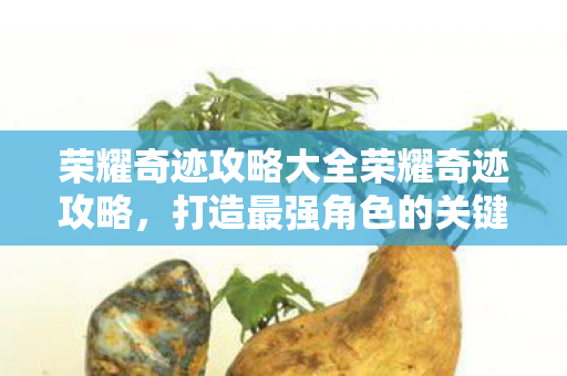 荣耀奇迹攻略大全荣耀奇迹攻略图片