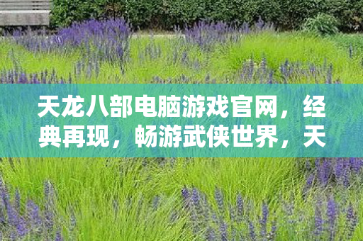 天龙八部电脑游戏官网图片