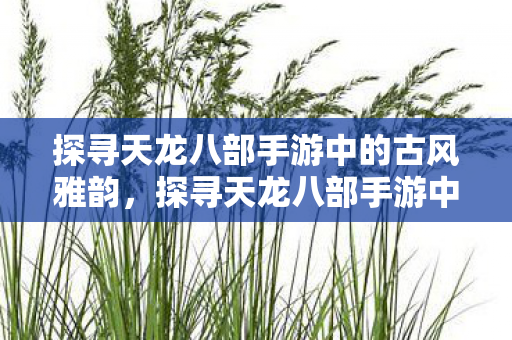 探寻天龙八部手游中的古风雅韵图片