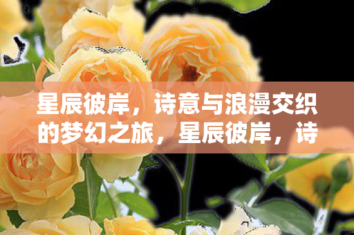 诗意与浪漫交织的梦幻之旅图片
