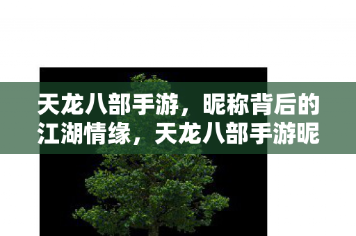 天龙八部手游昵称背后的江湖情缘揭秘图片