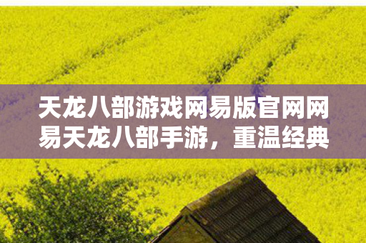 天龙八部游戏网易版官网网易天龙八部手游图片