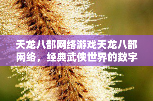 天龙八部网络游戏天龙八部网络图片