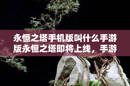 永恒之塔手机版叫什么手游版永恒之塔即将上线图片