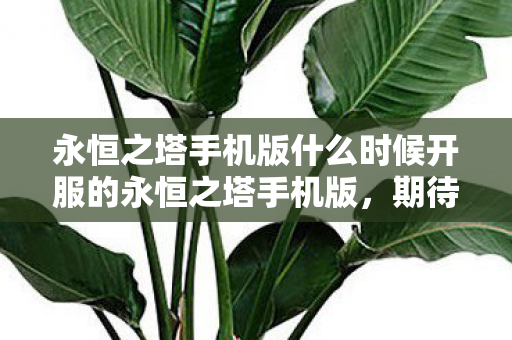 永恒之塔手机版什么时候开服的永恒之塔手机版图片