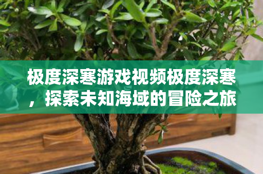 极度深寒探索未知海域的冒险之旅图片