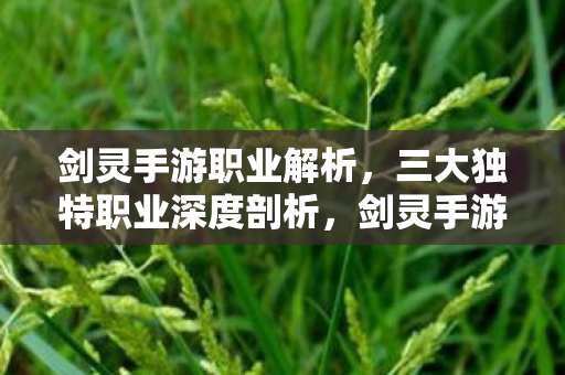 剑灵手游职业解析,三大独特职业深度剖析,剑灵手游三大职业深度解析,独特技能与玩法揭秘 剑灵手游职业解析,三大独特职业深度剖析,剑灵手游三大职业深度解析,独特技能与玩法揭秘