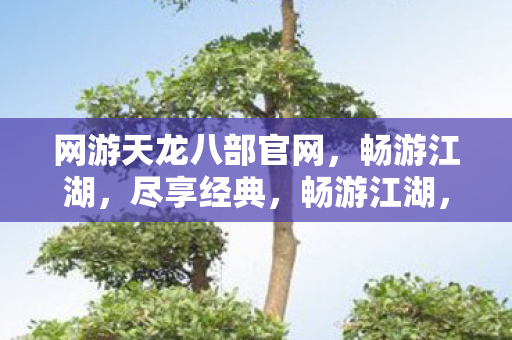 网游天龙八部官网图片