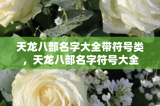天龙八部名字大全带符号类图片
