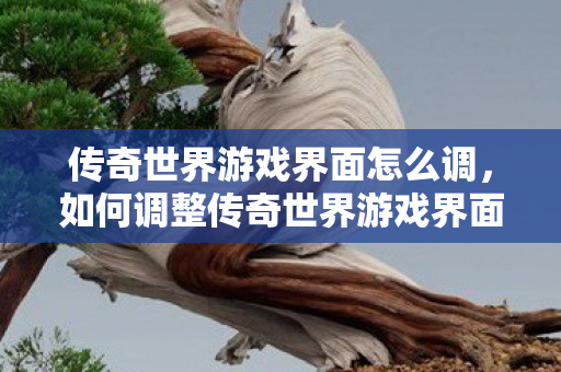 如何调整传奇世界游戏界面设置图片