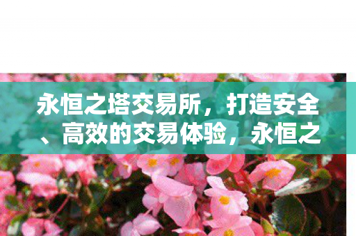 打造安全高效的交易体验图片
