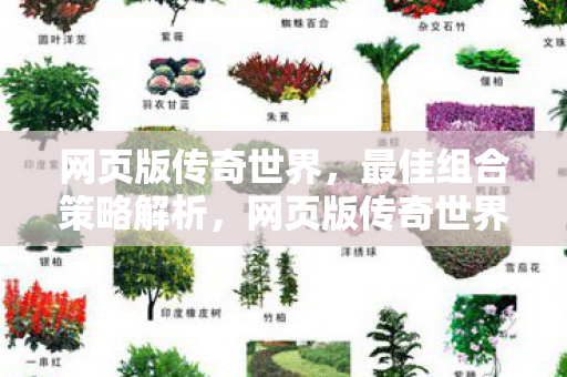 最佳组合策略全解析图片