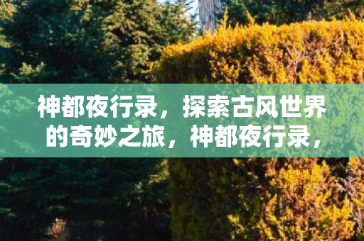 神都夜行录，探索古风世界的奇妙之旅，神都夜行录，探索古风世界的奇妙冒险之旅