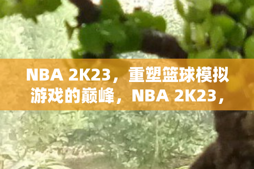 NBA 2K23,重塑篮球模拟游戏的巅峰,NBA 2K23,重塑篮球模拟游戏巅峰 NBA 2K23,重塑篮球模拟游戏的巅峰,NBA 2K23,重塑篮球模拟游戏巅峰