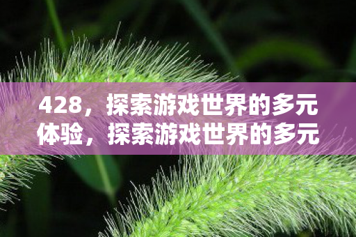 428,探索游戏世界的多元体验,探索游戏世界的多元体验,解锁无限可能 428,探索游戏世界的多元体验,探索游戏世界的多元体验,解锁无限可能