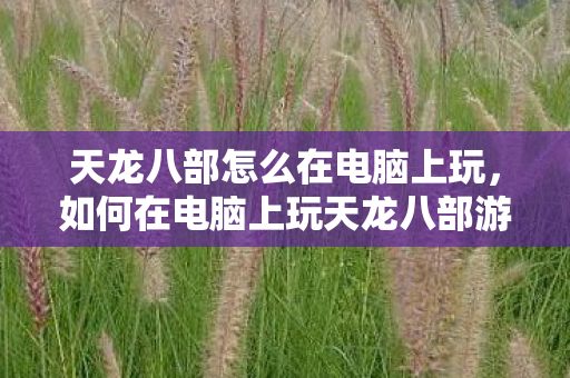 如何在电脑上玩天龙八部游戏图片