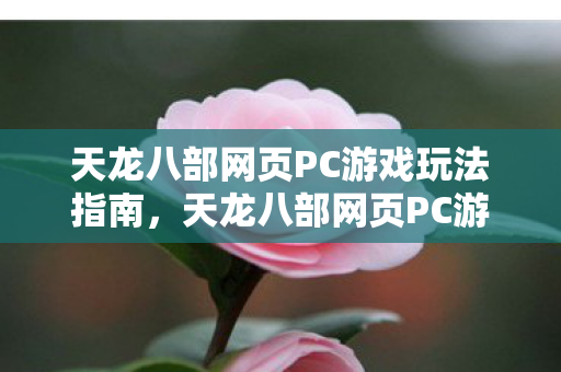 天龙八部网页PC游戏玩法指南图片