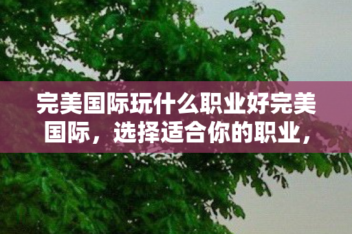 完美国际玩什么职业好完美国际图片