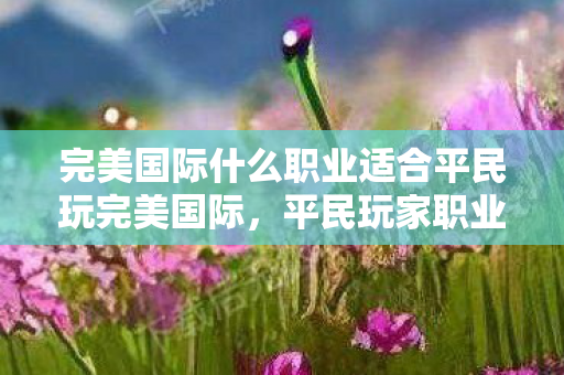 完美国际什么职业适合平民玩完美国际图片
